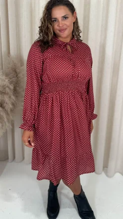 CurveWow Shirred Waist Tie Neck Dress Red Spot