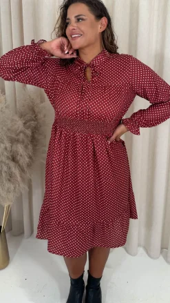 CurveWow Shirred Waist Tie Neck Dress Red Spot