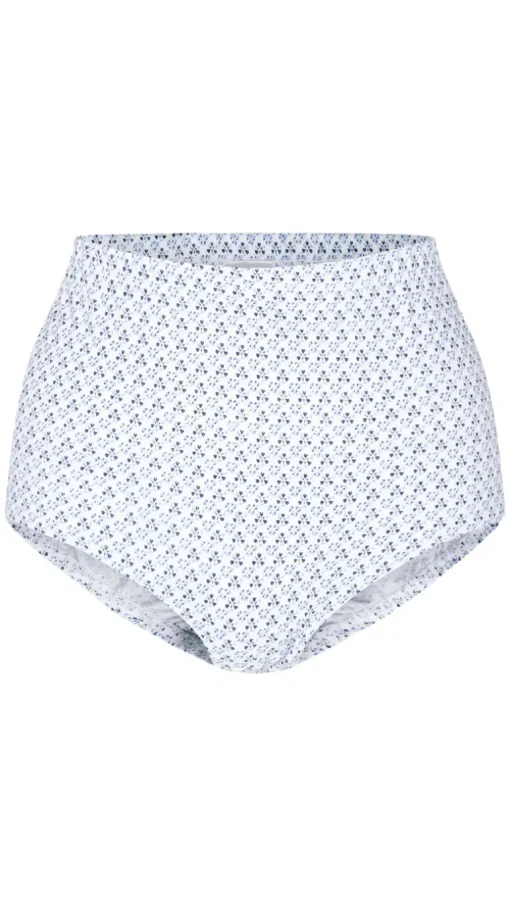 CurveWow 3 Pack Full Cotton Brief Blue/White