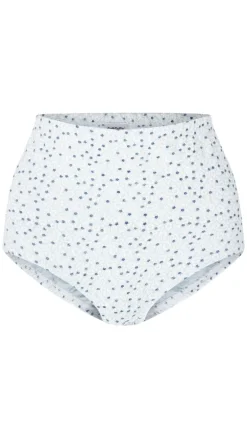 CurveWow 3 Pack Full Cotton Brief Blue/White