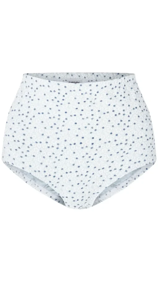CurveWow 3 Pack Full Cotton Brief Blue/White