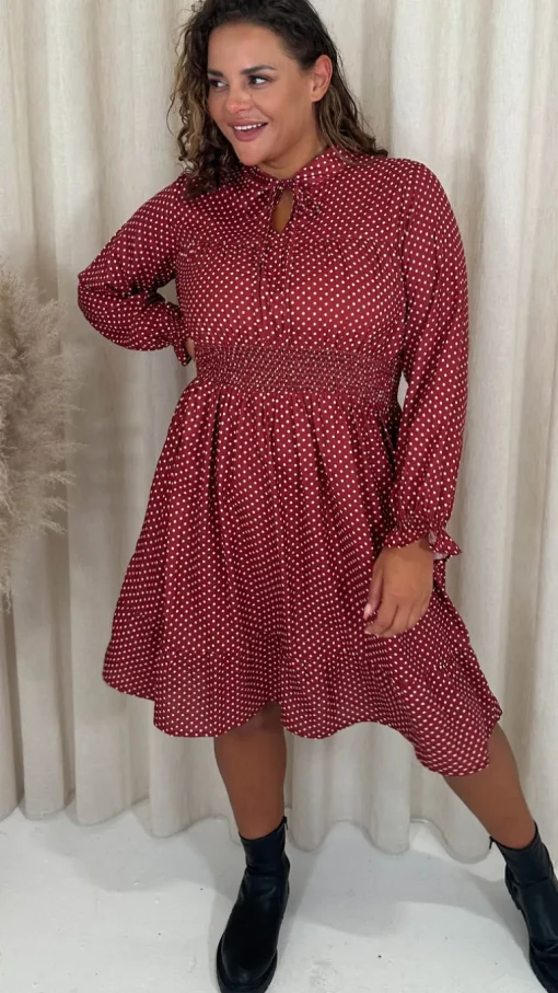 CurveWow Shirred Waist Tie Neck Dress Red Spot